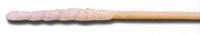 Swab, Wrapped Foam, TapperedCoventry